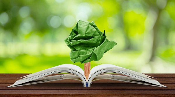 Educación ambiental: enseñar a los niños a reciclar electrónicos